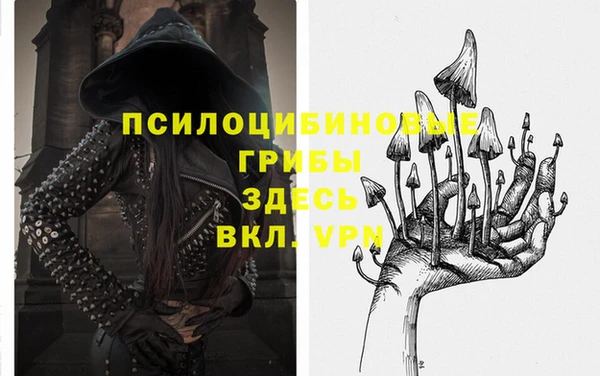 сатива Карабаново