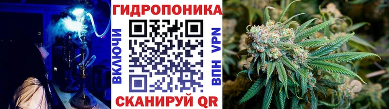 Бошки марихуана OG Kush  ссылка на мегу зеркало  Назарово  что такое  